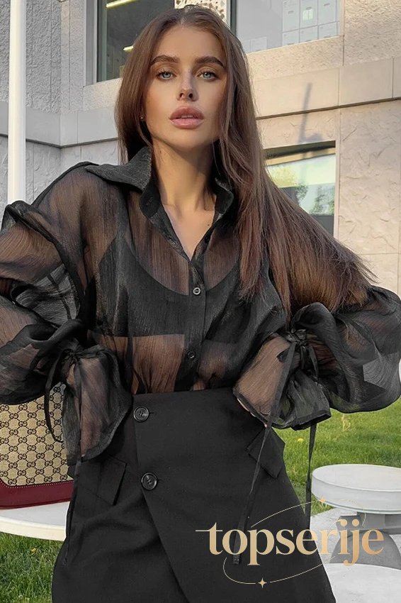 Sheer Puff Sleeve Collared Sexy Elegant Workwear Blouse