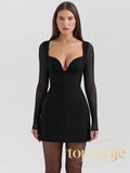 Sheer Plunge Neck Backless Club Mini Dress