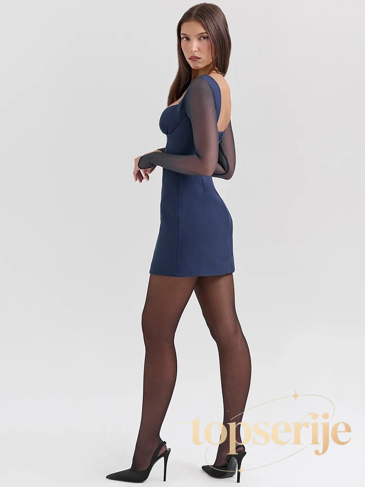 Sheer Plunge Neck Backless Club Mini Dress
